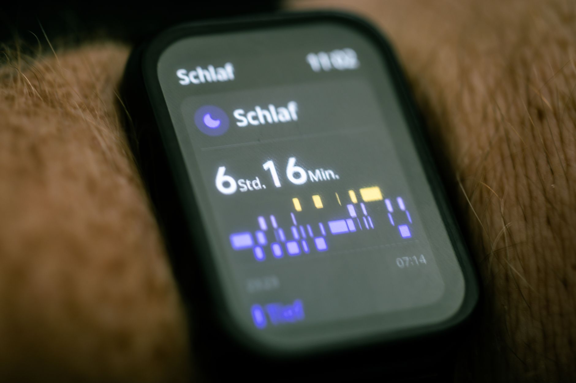 Sommeil et Performance en Compétition